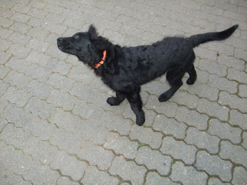 Ostern 2007 Orleshausen 009 